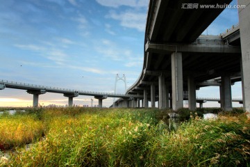 大庆 湿地 高架桥