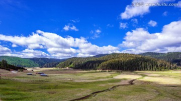 弥里塘 高山草甸