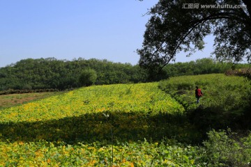 田园风光