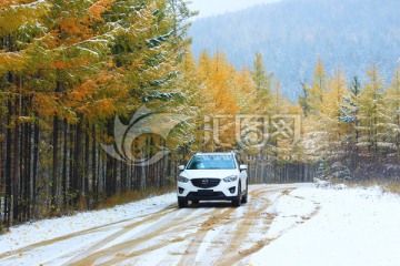 秋林雪景越野车