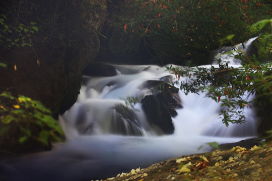 溪流 山泉