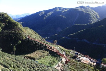 高山丘壑 茶山