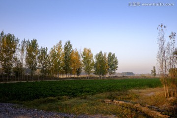 田野