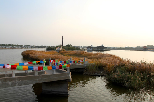 公園 濕地 人文景觀