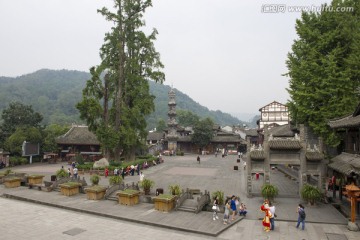 四川崇州街子古镇 银杏广场