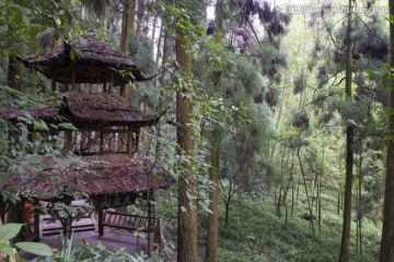 四川青城山 天然阁