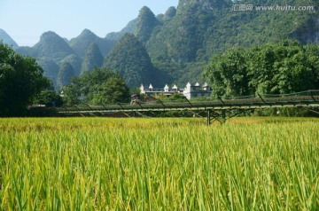 乡村游