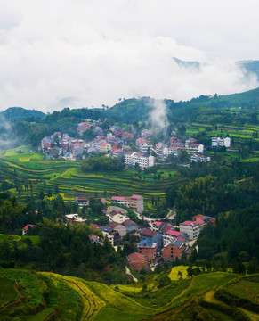 茗岙风光