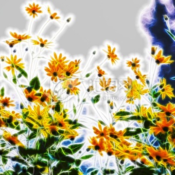 抽象花卉裝飾畫 不分層