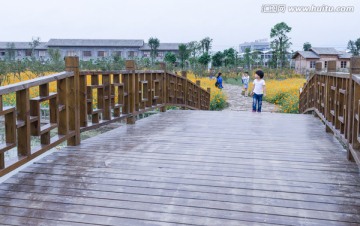 观光农业园 木桥