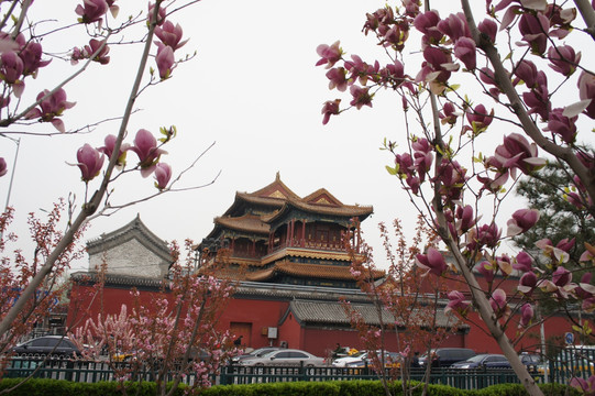 北京雍和宫外景