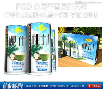 正宗椰子汁易拉罐禮盒平箱