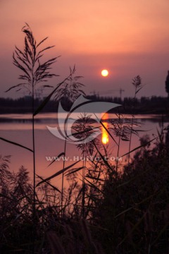 龙湖湿地