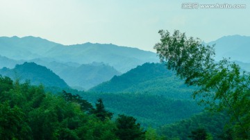 溪头村竹海群山宽幅