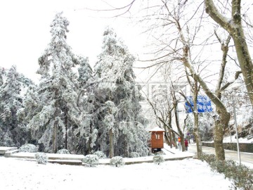 雪景