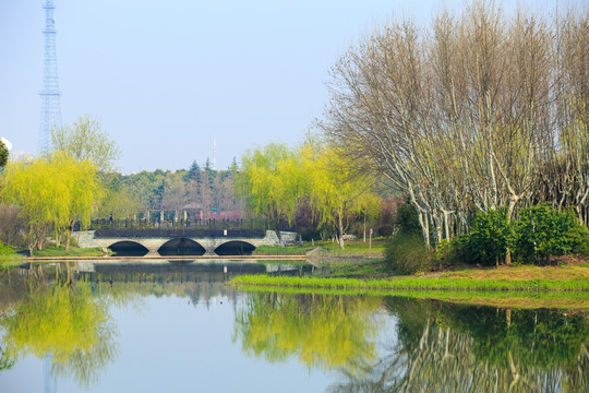 濕地公園