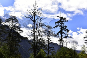 四川甘孜州燕子沟风光