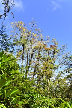 四川甘孜州燕子沟风光