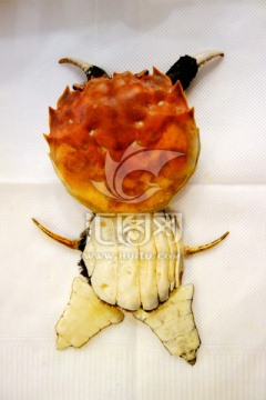 螃蟹 创意造型 创意蟹壳