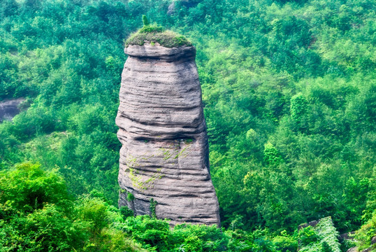 冠豸山生命之根