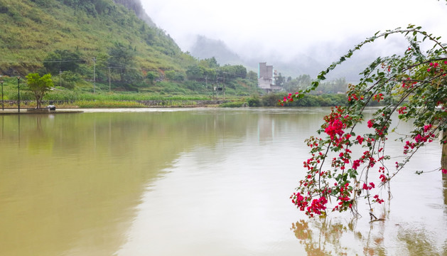 广西巴马风光 盘阳河