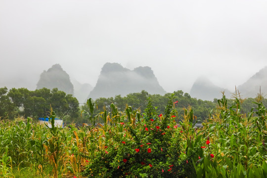 广西巴马风光 盘阳河