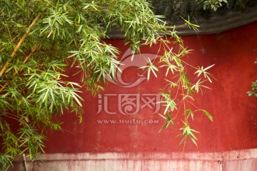 都江堰 庙墙 红墙绿竹