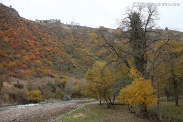 山坡秋色