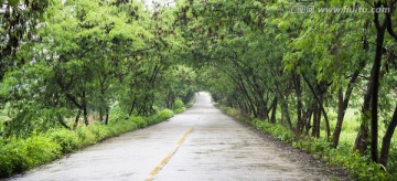 乡村道路