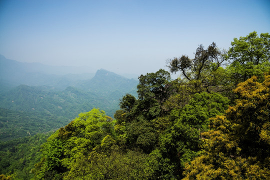 青山绿树