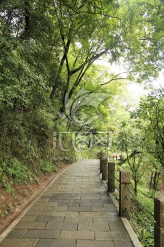 山路 都江堰 青城山