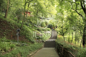 山路 都江堰 青城山