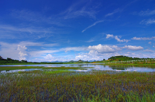 自然风景 湿地