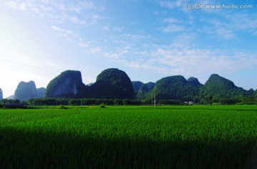 绿色田园