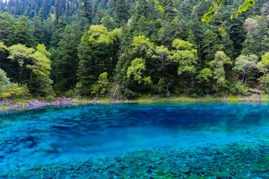 九寨沟风景