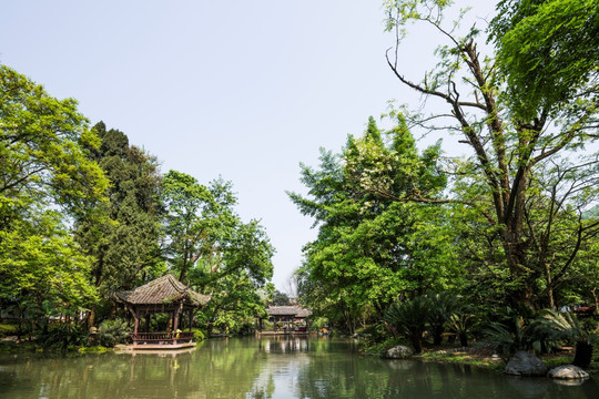 池塘