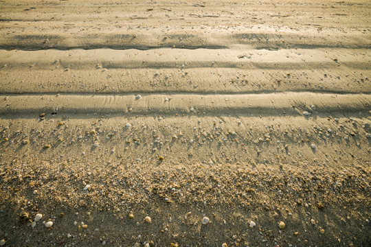 沙滩 沙子