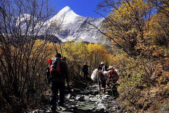 登山小道雪山风光