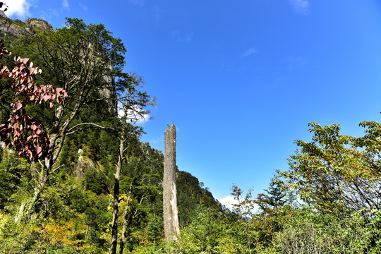 四川甘孜州燕子沟风光