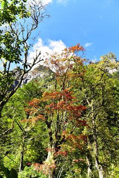 四川甘孜州燕子沟风光