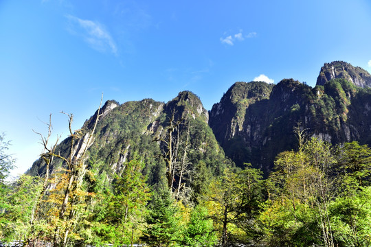 四川甘孜州燕子沟风光