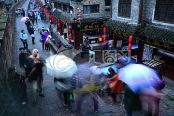 雨中凤凰