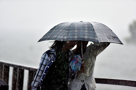 风雨同舟