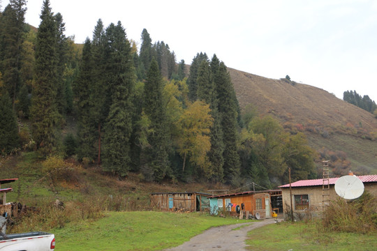 山林木屋