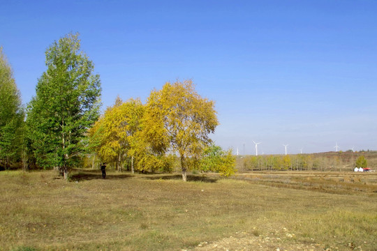 张北草原风光