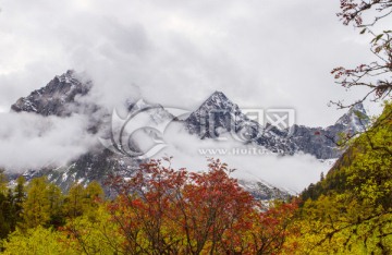 毕棚沟雪山秋林