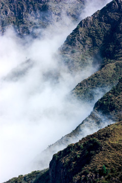 大山云雾