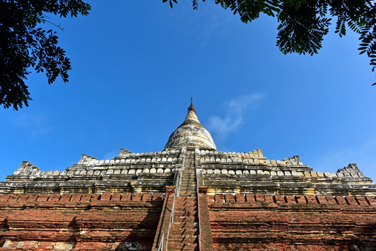 蒲甘 瑞山陀塔