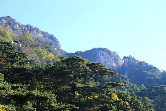 泰山风景