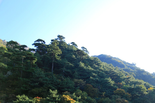 泰山风景